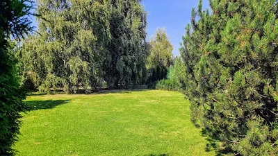 SZPADELEK | Ogrodnik Gliwice | Usługi ogrodnicze Gliwice | Zakładanie ogrodów | Systemy nawadniania | Wycinka drzew